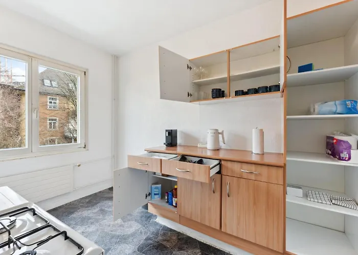 Homey Comfort In Oerlikon Apartamento Zúrich