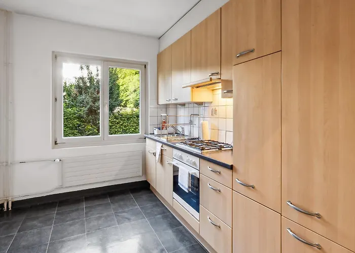 Homey Comfort In Oerlikon Zürich