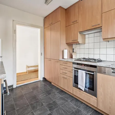 Apartment Homey Comfort In Oerlikon *