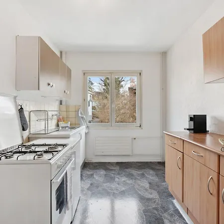 Homey Comfort In Oerlikon Apartment
