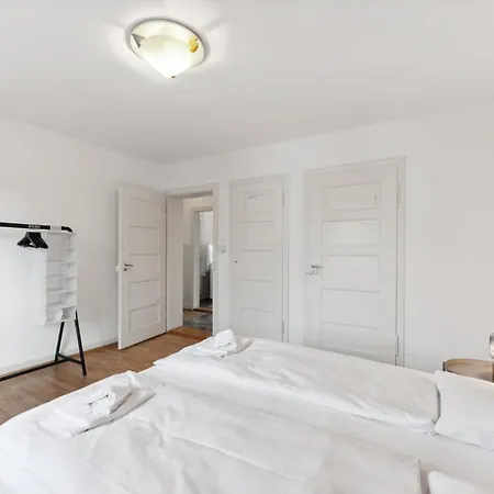 Homey Comfort In Oerlikon Apartment
