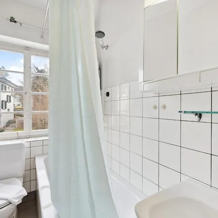 Homey Comfort In Oerlikon Apartment