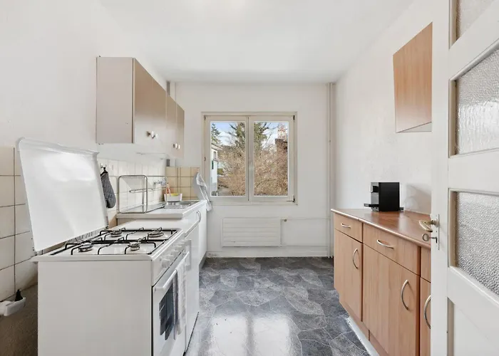 Homey Comfort In Oerlikon Daire