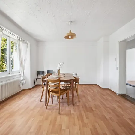Homey Comfort In Oerlikon Apartment *
